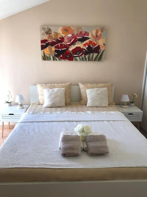 Bird View Apartment Carlissima تروغير المظهر الخارجي الصورة